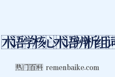 术语学核心术语辨析组词是什么意思的图片
